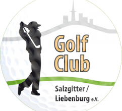 Logo-Salzgitter
